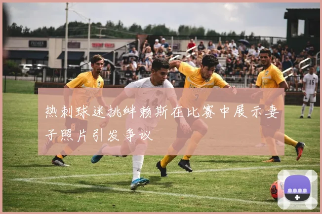热刺球迷挑衅赖斯在比赛中展示妻子照片引发争议