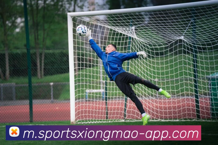 熊猫体育平台生态图