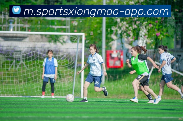 熊猫体育APP 封面图