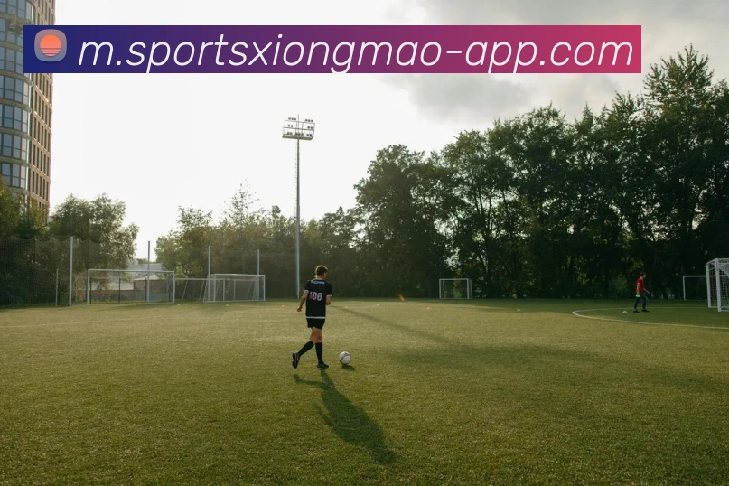 数据防护可视化